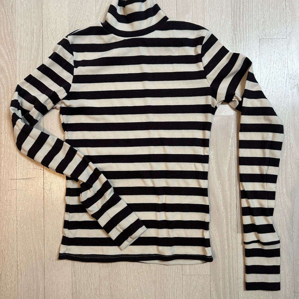 Classic Black and White Striped Turtleneck Top